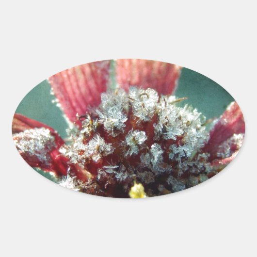 花霜の降りた 楕円形シール (正面)