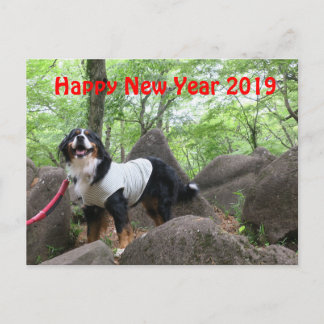 花音2019年賀状 ポストカード