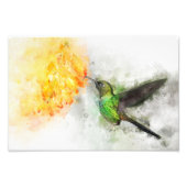 花飛んでいる付きハミングバード水彩 – 02 フォトプリント            (正面)