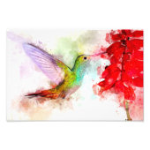 花飛んでいる付きハミングバード水彩 – 03 フォトプリント            (正面)