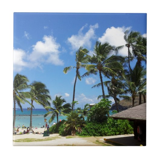 花馬ベイハワイココナッツツリーズ タイル (正面)