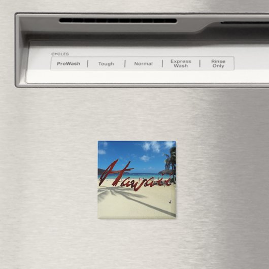 花馬湾オアフハワイ マグネット (インサイチュ (食洗機))