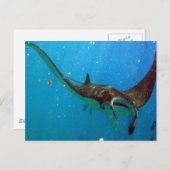 花馬湾オアフマンタレイ ポストカード (正面/裏面)