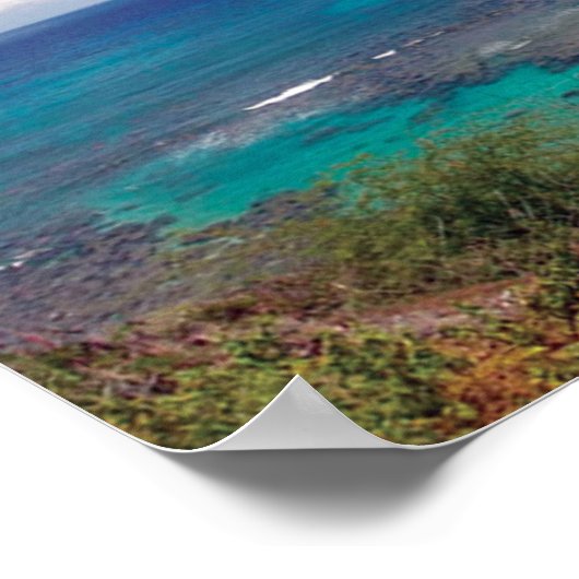 花馬湾ハワイ ポスター (角)