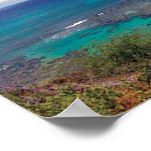 花馬湾ハワイ ポスター (角)