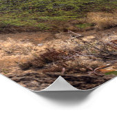 花馬湾 ポスター (角)