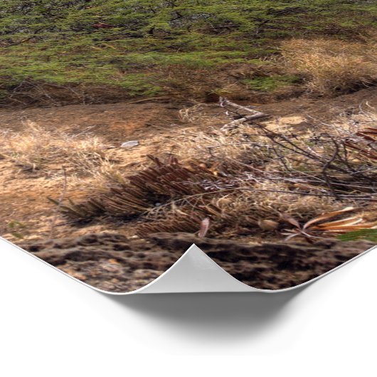 花馬湾 ポスター (角)