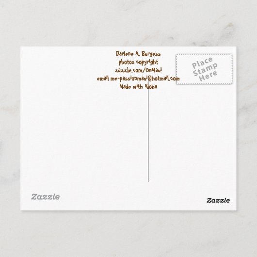 花馬 ポストカード (裏面)