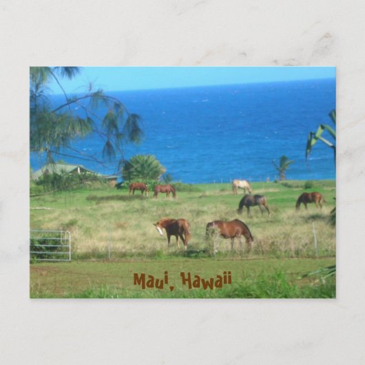 花馬 ポストカード (正面)