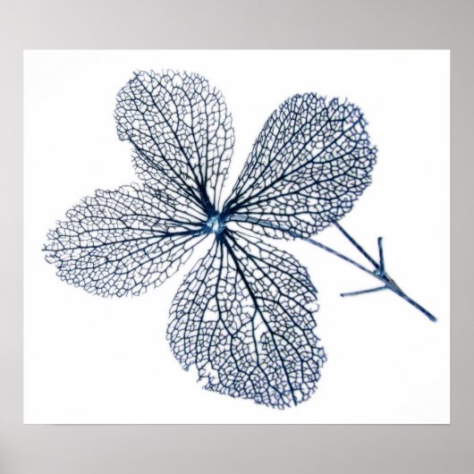 花骨格～プリント ポスター (正面)