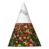 花魅力的園の追加文字はこちら工芸品供給 パーティーハット (右)