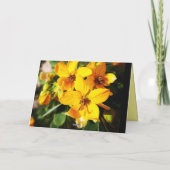 花鮮やか類 カード (裏面)