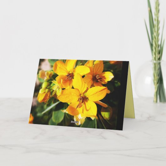 花鮮やか類 カード (裏面)