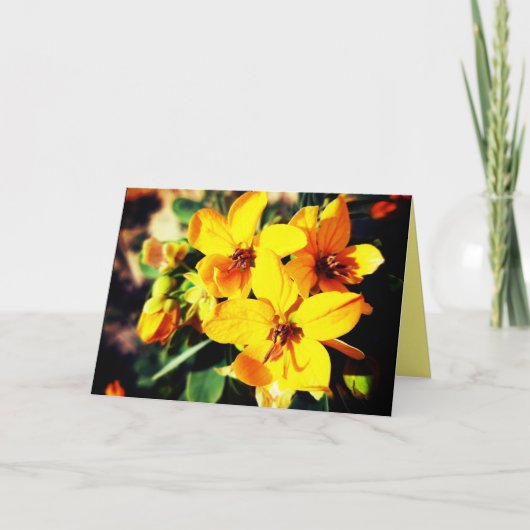 花鮮やか類 カード (正面)