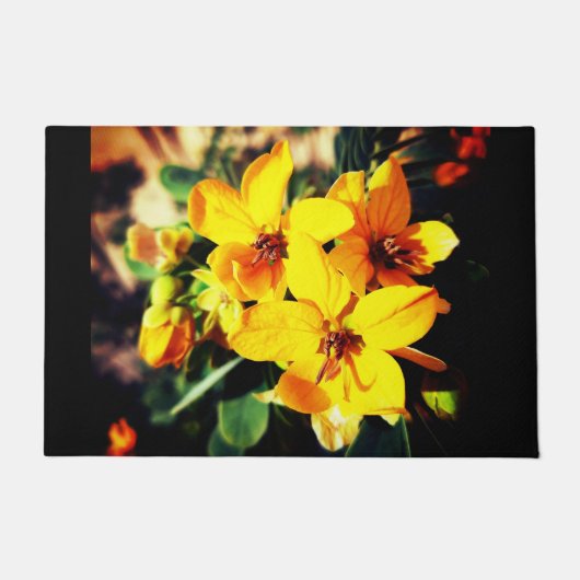 花鮮やか類 ドアマット (正面)