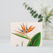 花鳥楽園ヴィンテージ図解入りの、写真付きの ポストカード (スタンド正面)