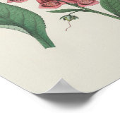 花鳥花 ポスター (角)