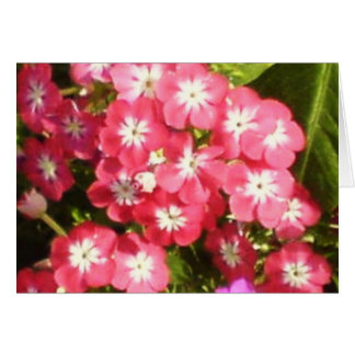 花1のBadrinathの谷