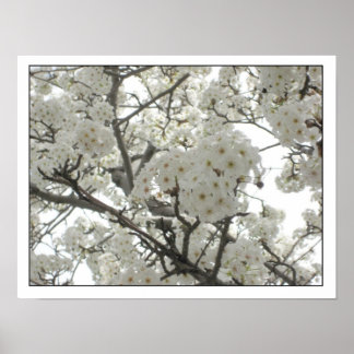 花1ポスター ポスター