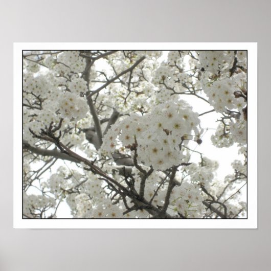 花1ポスター ポスター (正面)