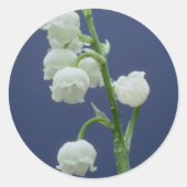 花110 ラウンドシール (正面)