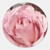 花137 ラウンドシール (正面)