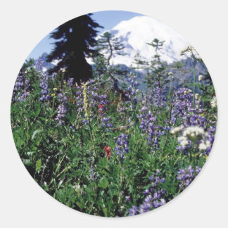 花139 ラウンドシール