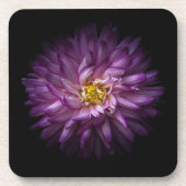 花20 コースター (正面)