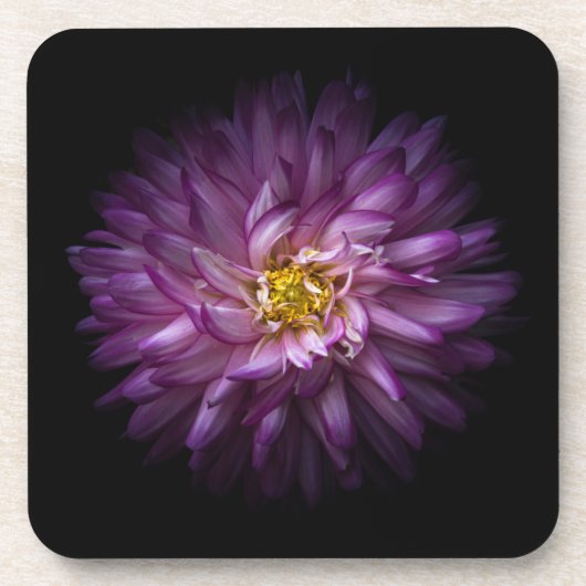 花20 コースター (正面)