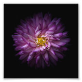 花20 フォトプリント            (正面)