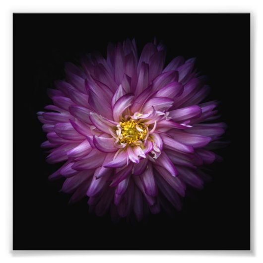 花20 フォトプリント            (正面)