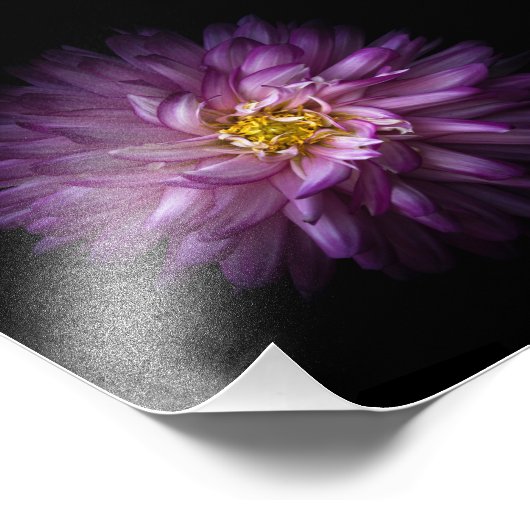 花20 フォトプリント            (角)