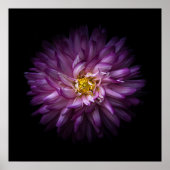 花20 ポスター (正面)