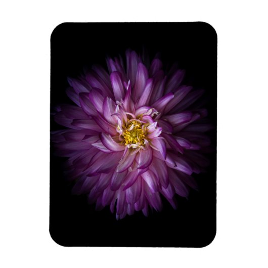 花20 マグネット (縦)