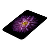 花20 マグネット (左側)