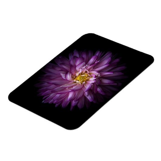 花20 マグネット (左側)