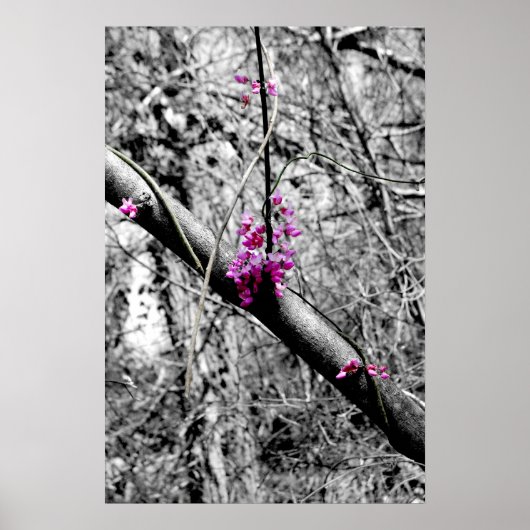 花2 ポスター (正面)