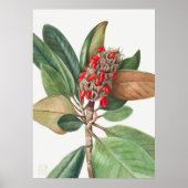 花2 ポスター (正面)