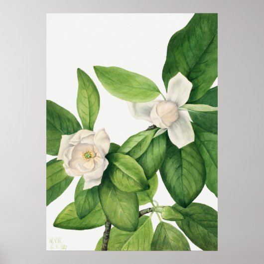 花3 ポスター (正面)