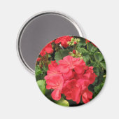 花4 マグネット (正面/裏面)