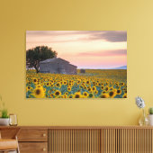 花 |ひまわり畑プロヴァンス（フランス） キャンバスプリント (インサイチュ (リビング))