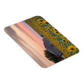 花 |ひまわり畑プロヴァンス（フランス） マグネット (右側)