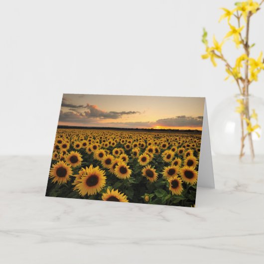 花 |ひまわり畑 カード (黄色い花)