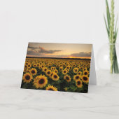 花 |ひまわり畑 カード (正面)