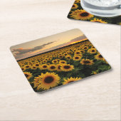 花 |ひまわり畑 スクエアペーパーコースター (アングル)