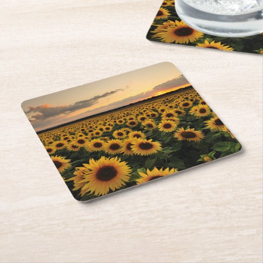 花 |ひまわり畑 スクエアペーパーコースター (アングル)