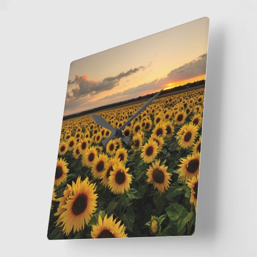 花 |ひまわり畑 スクエア壁時計 (傾斜)