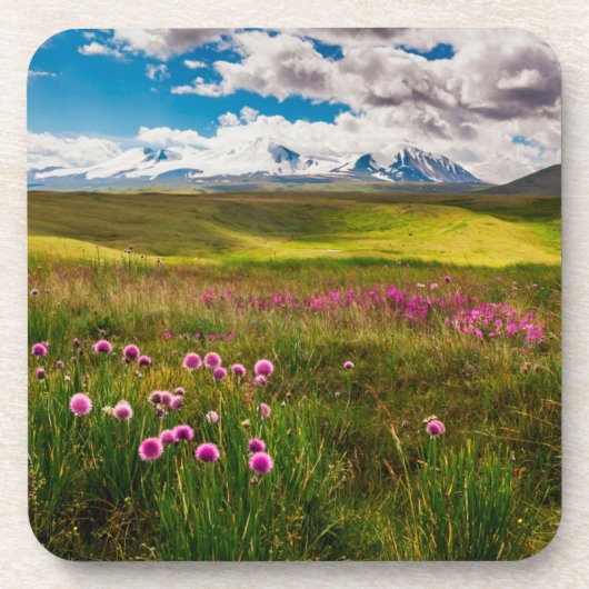 花 |アルタイ山脈，シベリア，ロシア コースター (正面)