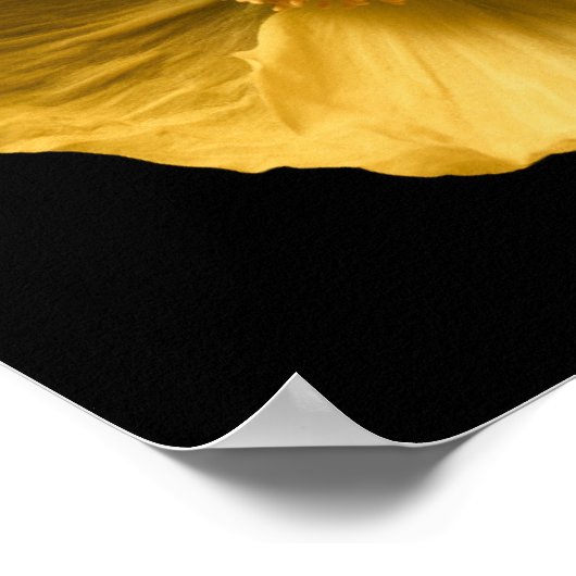 花 |イエローポピー ポスター (角)