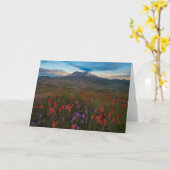 花 |インディアンペイントブラシ&ペンステモン カード (黄色い花)